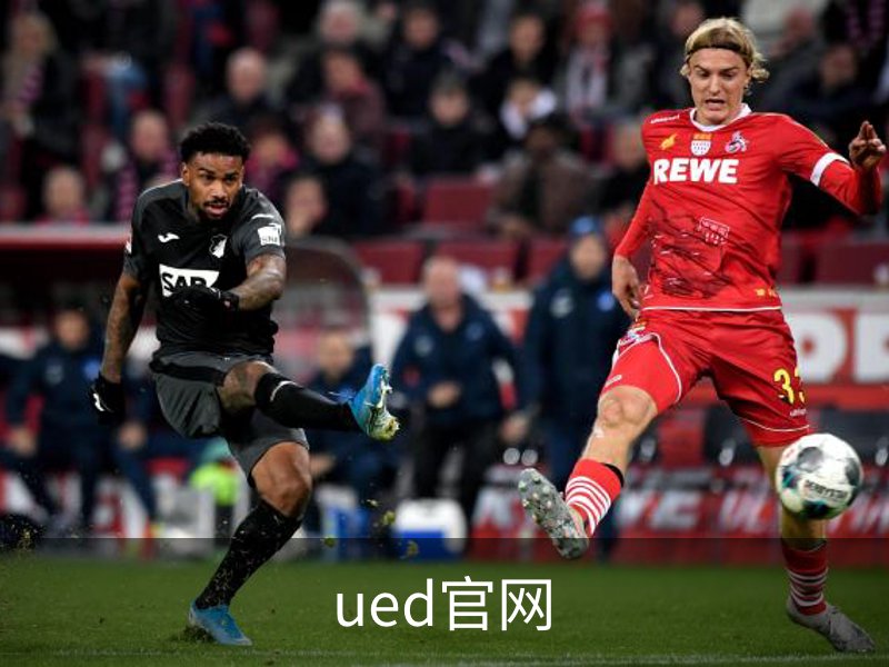 了解ued官网